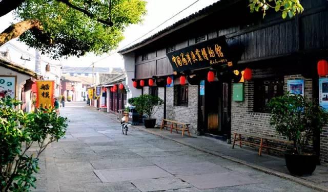 寻找沙漠珍宝